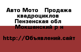 Авто Мото - Продажа квадроциклов. Пензенская обл.,Мокшанский р-н